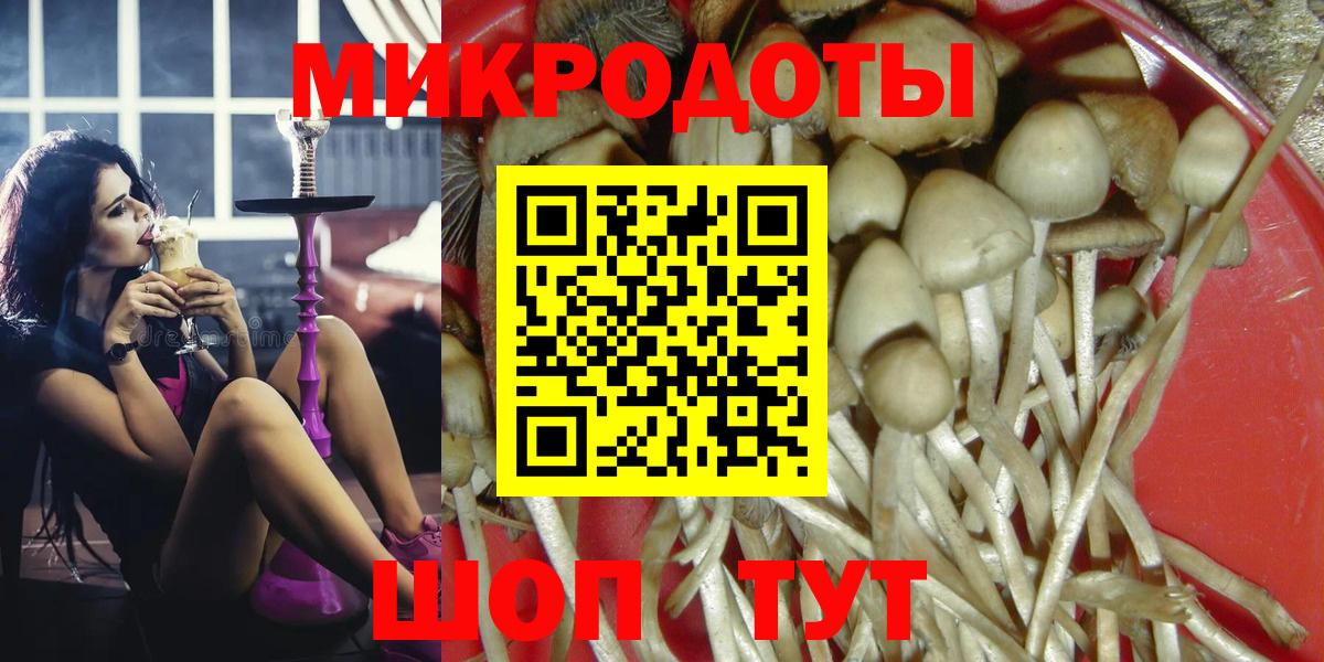 Галлюциногенные грибы мухоморы Апатиты