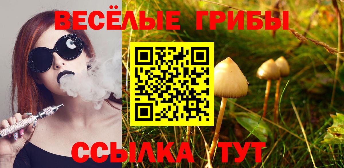 Апатиты  Галлюциногенные грибы Magic Shrooms  Вход с VPN  Галлюциногенные грибы прущие грибы 